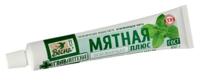 ЗП ВЕСНА Главаптека Мятная (освежающая мята) 90мл б/ф фото в интернет-магазине KUTAVA