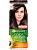Краска  GARNIER Color Naturals   4  Каштан